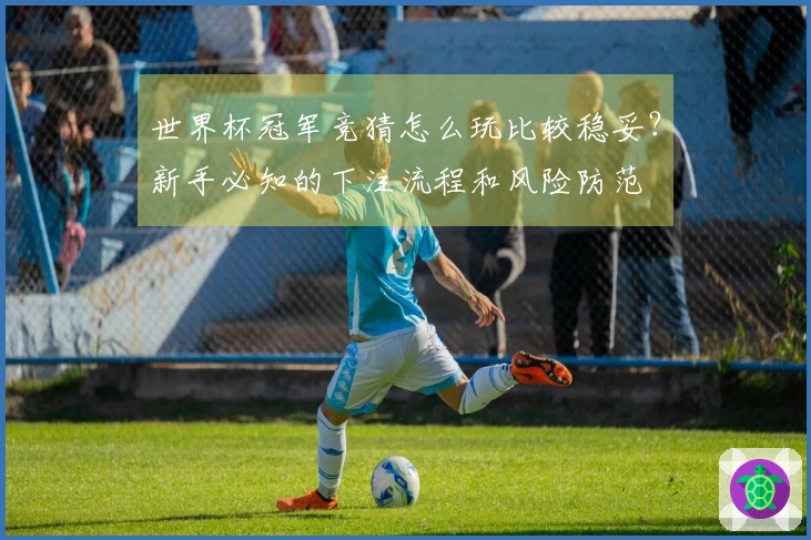 世界杯冠军竞猜怎么玩比较稳妥？新手必知的下注流程和风险防范